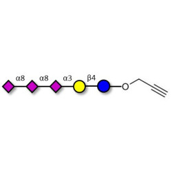 GT3 Ganglioside oligosaccharide with terminal alkyne (Linker-CΞCH B)