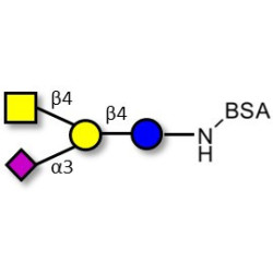 GM2 Ganglioside oligosaccharide grafted on BSA