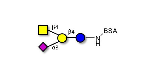 GM2 Ganglioside oligosaccharide grafted on BSA
