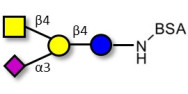 GM2 Ganglioside...