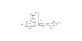 GM2 Ganglioside oligosaccharide grafted on BSA