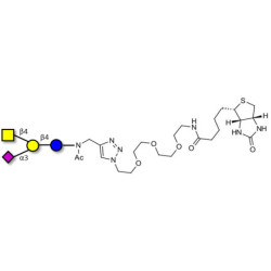 GM2 Ganglioside oligosaccharide linked to biotin (Linker-BT A)