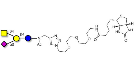 GM2 Ganglioside oligosaccharide linked to biotin (Linker-BT A) - GLY093-NAc-sp3-Bt