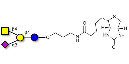 GM2 Ganglioside oligosaccharide linked to biotin (Linker-BT B)
