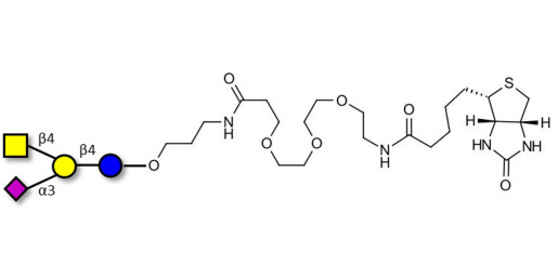 GM2 Ganglioside oligosaccharide linked to biotin (Linker-BT C)