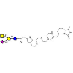 GM2 Ganglioside oligosaccharide linked to desthiobiotin (Linker-DBT-A)