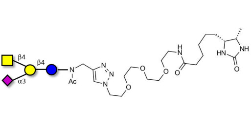 GM2 Ganglioside oligosaccharide linked to desthiobiotin (Linker-DBT-A)