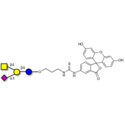 GM2 Ganglioside oligosaccharide linked to fluorescein (Linker-FLUO A)