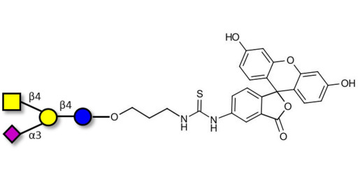 GM2 Ganglioside oligosaccharide linked to fluorescein (Linker-FLUO A)