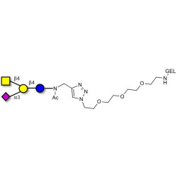 GM2 Ganglioside oligosaccharide grafted on gel for affinity chromatography (Linker-GEL A)