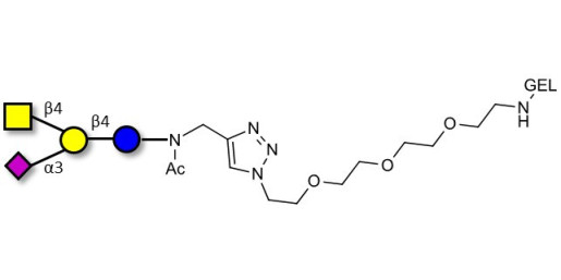 GM2 Ganglioside oligosaccharide grafted on gel for affinity chromatography (Linker-GEL A)