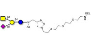GM2 Ganglioside...