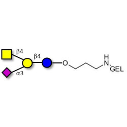 GM2 Ganglioside oligosaccharide grafted on gel for affinity chromatography (Linker-GEL B)