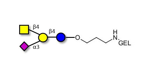 GM2 Ganglioside oligosaccharide grafted on gel for affinity chromatography (Linker-GEL B)