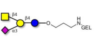 GM2 Ganglioside...