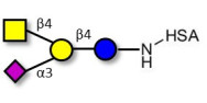 GM2 Ganglioside...