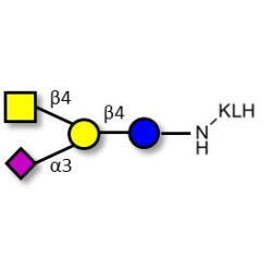 GM2 Ganglioside oligosaccharide grafted on KLH