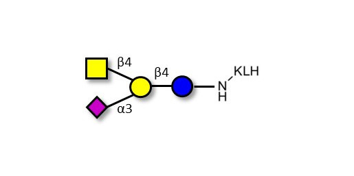 GM2 Ganglioside oligosaccharide grafted on KLH
