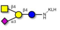 GM2 Ganglioside oligosaccharide grafted on KLH
