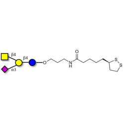 GM2 Ganglioside oligosaccharide with cyclic di-thiol (Linker-LIPO A)