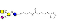GM2 Ganglioside...
