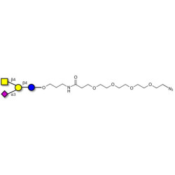 GM2 Ganglioside oligosaccharide with terminal azide (Linker-N3 A)