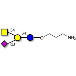 GM2 Ganglioside oligosaccharide with free terminal amine (Linker-NH2 A)
