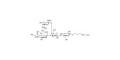 GM2 Ganglioside oligosaccharide with free terminal amine (Linker-NH2 A)