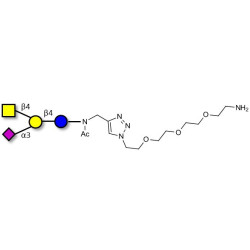 GM2 Ganglioside oligosaccharide with free terminal amine (Linker-NH2 B)