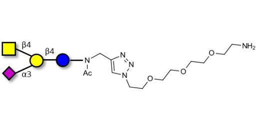 GM2 Ganglioside oligosaccharide with free terminal amine (Linker-NH2 B) - GLY093-NAc-sp1-NH2
