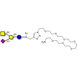 GM2 Ganglioside oligosaccharide with free terminal amine (Linker-NH2 C)