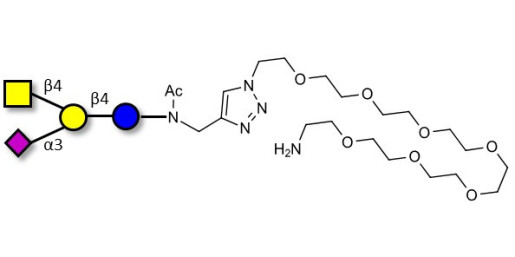 GM2 Ganglioside oligosaccharide with free terminal amine (Linker-NH2 C)