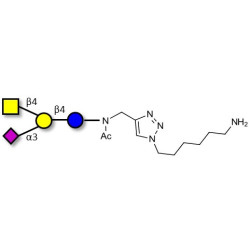GM2 Ganglioside oligosaccharide with free terminal amine (Linker-NH2 D)