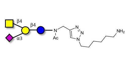 GM2 Ganglioside oligosaccharide with free terminal amine (Linker-NH2 D)