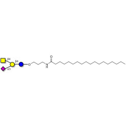 GM2 Ganglioside oligosaccharide with stearic chain (Linker-STEA A)
