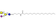 GM2 Ganglioside...