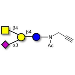 GM2 Ganglioside oligosaccharide with terminal alkyne (Linker-CΞCH A)