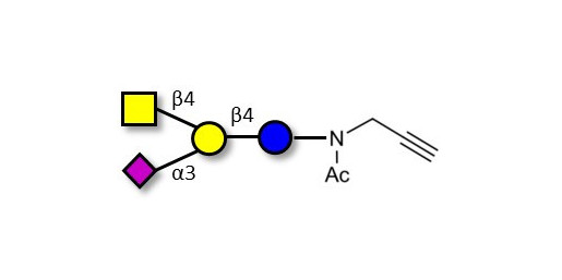 GM2 Ganglioside oligosaccharide with terminal alkyne (Linker-CΞCH A) - GLY093-NPR