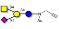 GM2 Ganglioside oligosaccharide with terminal alkyne (Linker-CΞCH A) - GLY093-NPR