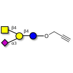 GM2 Ganglioside oligosaccharide with terminal alkyne (Linker-CΞCH B)