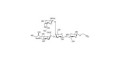 GM2 Ganglioside oligosaccharide with terminal alkyne (Linker-CΞCH B)