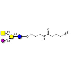 GM2 Ganglioside oligosaccharide with terminal alkyne (Linker-CΞCH C)