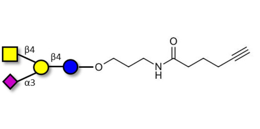 GM2 Ganglioside oligosaccharide with terminal alkyne (Linker-CΞCH C)