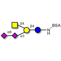 GD2 Ganglioside oligosaccharide grafted on BSA