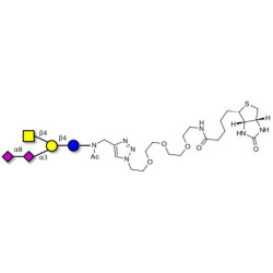 GD2 Ganglioside oligosaccharide linked to biotin (Linker-BT A)