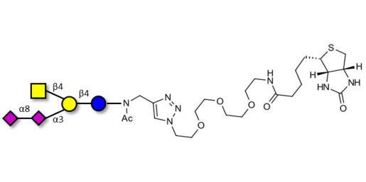GD2 Ganglioside oligosaccharide linked to biotin (Linker-BT A) - GLY094-NAc-sp3-Bt