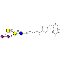 GD2 Ganglioside oligosaccharide linked to biotin (Linker-BT B)