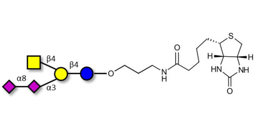 GD2 Ganglioside oligosaccharide linked to biotin (Linker-BT B)