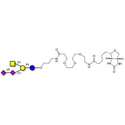 GD2 Ganglioside oligosaccharide linked to biotin (Linker-BT C)
