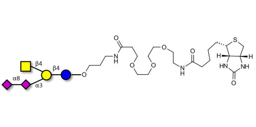 GD2 Ganglioside oligosaccharide linked to biotin (Linker-BT C)